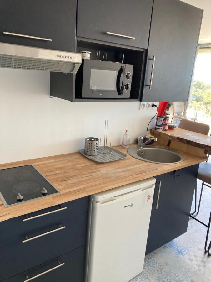 Appartement Vue Sur Mer 滨海阿热莱斯 外观 照片
